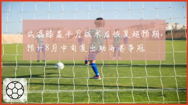 武磊膝盖半月板术后恢复超预期,预计8月中旬复出助海港争冠