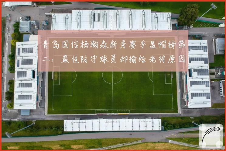 青岛国信杨瀚森新秀赛季盖帽榜第二,最佳防守球员却输给老将原因何在